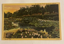 Vintage Linen Postcard ~ Beautiful Water Gardens ~ Beverly Hills, California CA