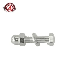 BOLT/NUT FOR POST  CHROME. Bmx  Lowrider Fixie Beach Cruiser Seat Clamp.