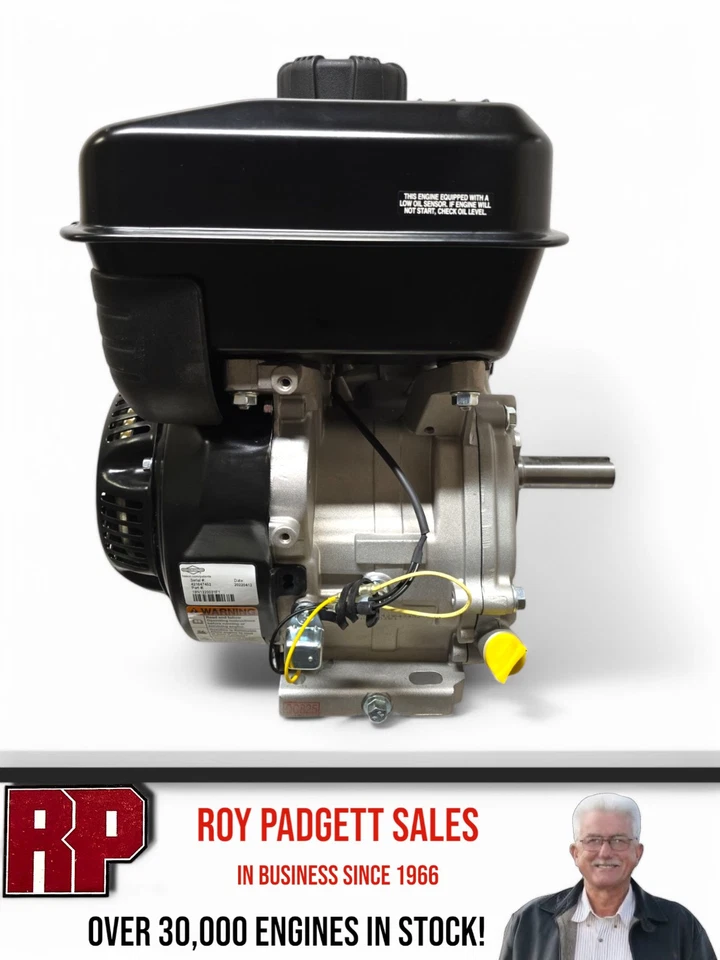 10HP Briggs & Stratton 19N132-0031 水平发动机 XR 系列 1 英寸轴 -SF — 第 2/4 张图片