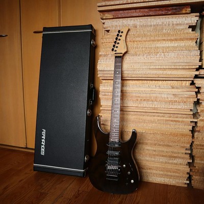 Fernandes FR-DLX JPC SBK サステイナー 2011年