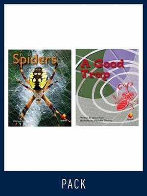 Flying Start Guided Reading Pack Level 6, Pack 4: Paired student books (6x6) and