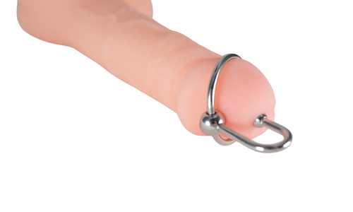 Stainless Penis Cock Rings with Urethral Sounds Ball Sperm Stopper - Bild 1 von 23