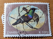 GM225 ZAMBIA 1993 K1000 SCOTT # 636 BIRDS USED STAMP