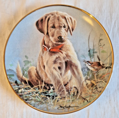 Franklin Mint schöner limitierter Teller gelb Labrador Welpe Hundeauge...