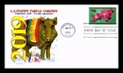 Dr Jim Stamps LUNAR NEW YEAR 2019 BOAR FIRST DAY OF ISSUE PANDA CACHETS COVER