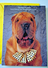 1 Vintage 1987 California Dreamers, Birthday Greeting Card!! Rare