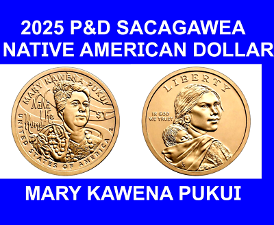 Sacagawea 2025 P D Dollaro Dei Nativi Americani MARY KAWENA PUKUI - Foto 4