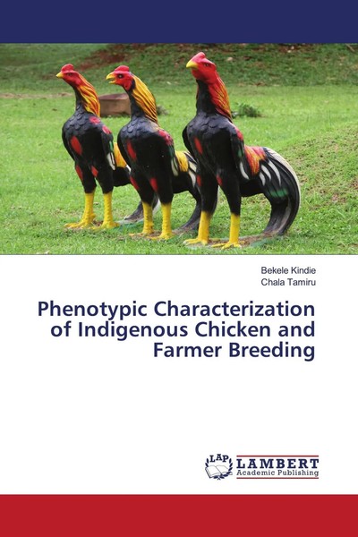 Bekele Kindie (U. A.) | Phenotypic Characterization Of Indigenous Chicken And...-image