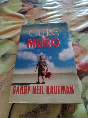 Jenseits der Mauer Kaufman Buch