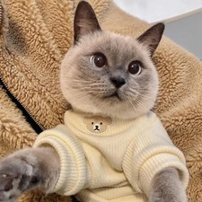 Winte 2025 Pet Autumn And Winter Clothing Warm Velvet Hoodie Cloth Doll Cat Blue