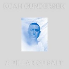 Noah Gundersen : A Pillar of Salt CD (2021) ***NEW*** FREE Shipping, Save �s