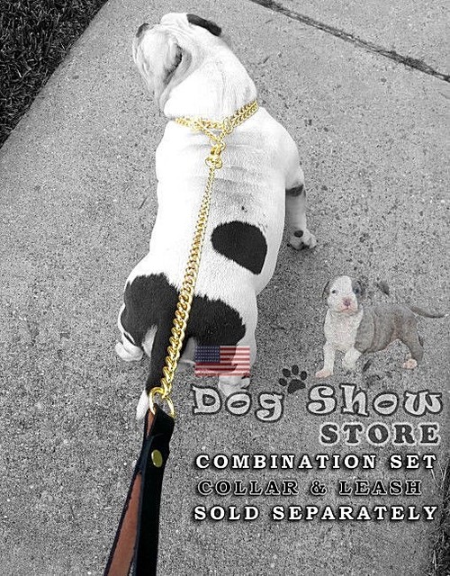english show leash