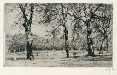 Peter Von Halm Signed Etching of Trees