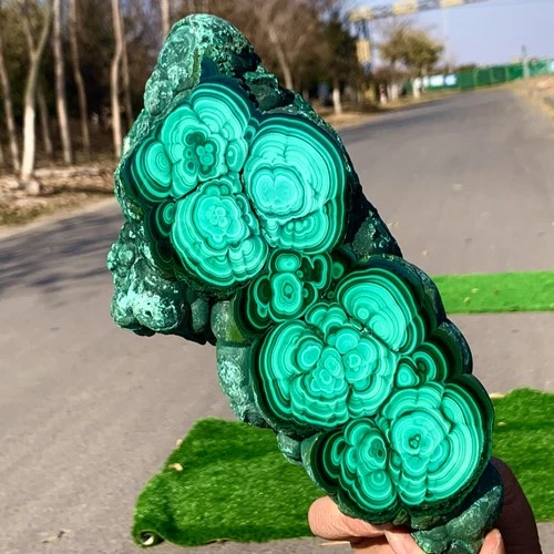 5.46LB Natural glossy Malachite transparent cluster rough mineral sample