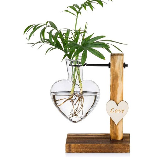2 Pcs Love Glass Bottle Heart Jar Clear Hydroponic Vase Creative - Picture 3 of 12