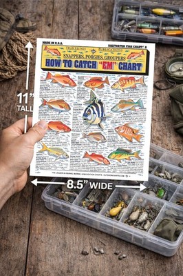Saltwater Fish Identification #6 - Waterproof Quick Reference