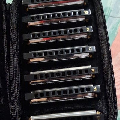 HOHNER International Bluesband Diatonic Harmonica Set w/ Case Keys C D E F G Bb