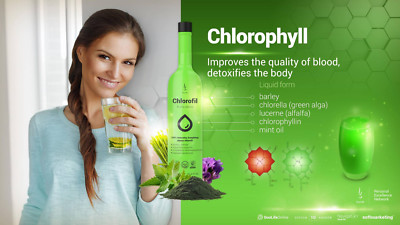 DuoLife, Chlorofil 100% natürliches Chlorhyll, 2x750ml, Mega Deal, Sale