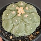 Foto 13 di 24