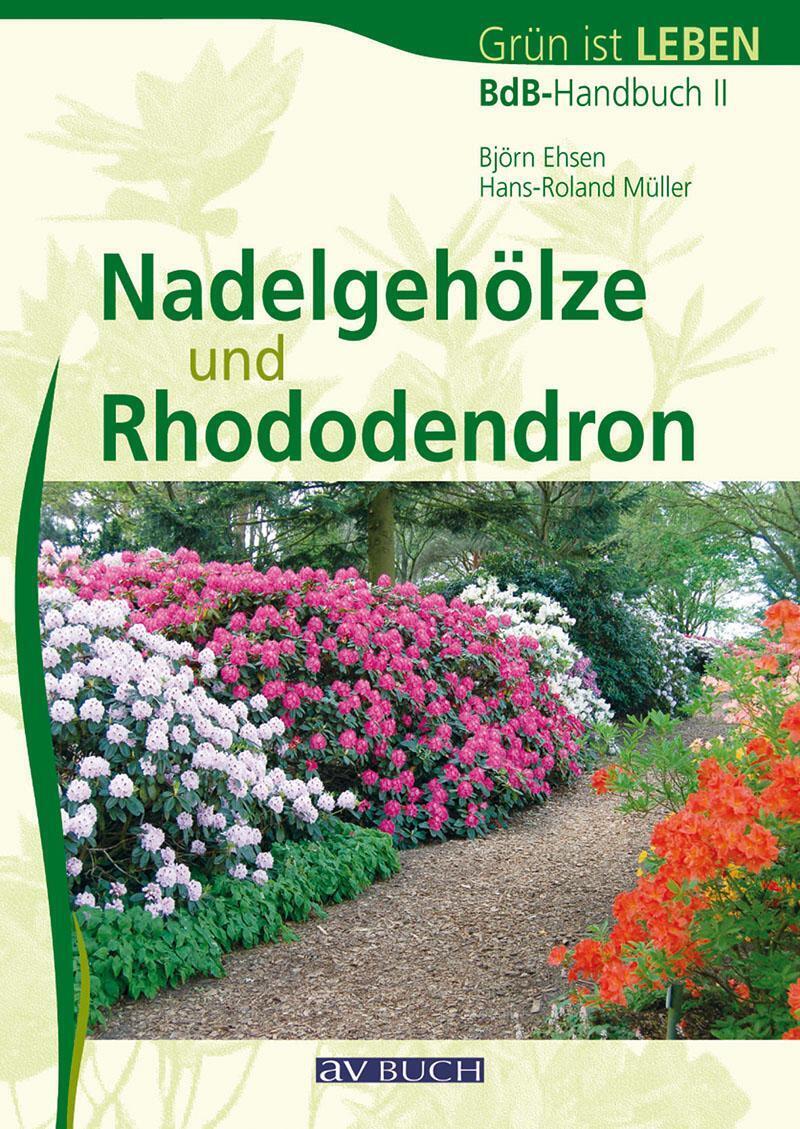 Thumbnail - Björn Ehsen (u. A.) | Nadelgehöze Und Rhododendron | Taschenbuch |