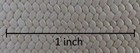 Bild 6 von 7