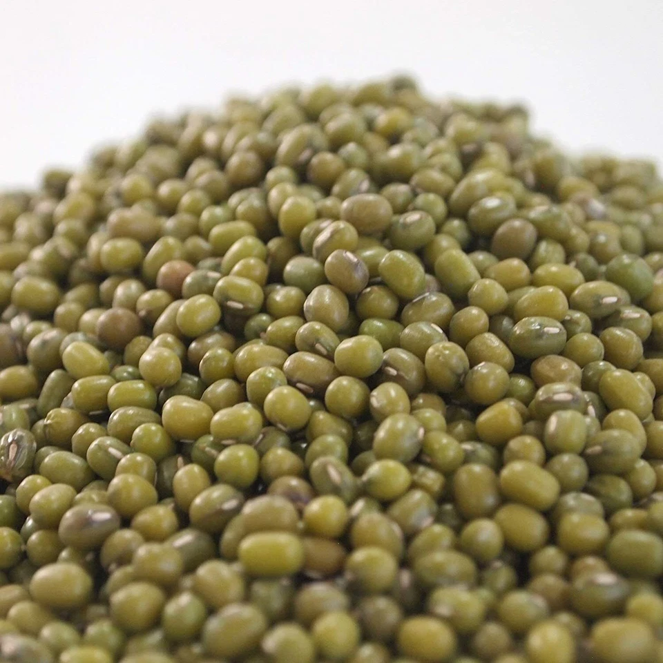 16 oz Mung Bean - Image 2 of 4