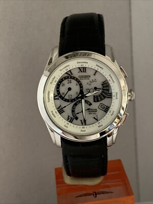 Citizen Men's Eco Drive Calibre 8700 Perpetual Calendar Strap