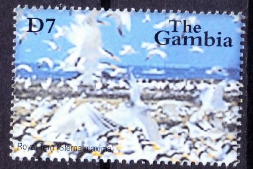 Royal Tern, Water Birds, Gambia 2001 MNH [C19] - Picture 1 of 1
