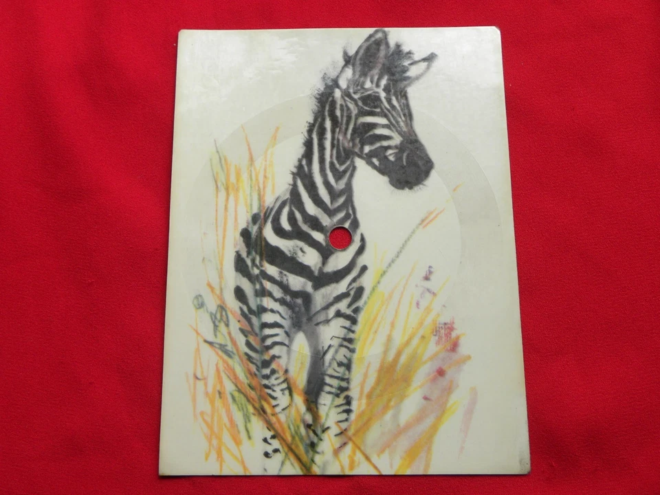 ADRIANO CELENTANO set of 5 POLISH FLEXIs - Bild 3 von 4