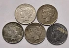 5 Peace Silver Dollars - 5 Coin Lot SK15