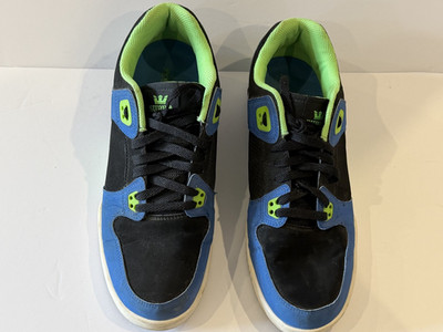Nike supra sneakers Erik Ellington FTWR CO Sz 11.5 Skateboard
