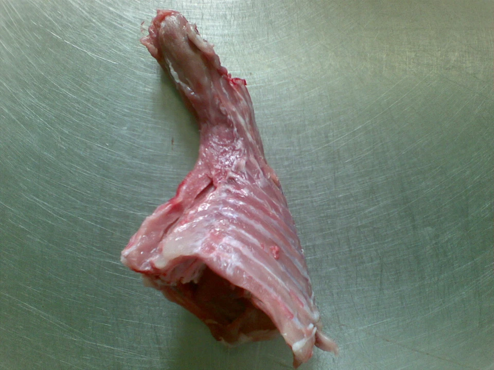 Gewolftes Kaninchen BARF Hundefutter 8 kg (16x500g) Nur 34 € TK - Bild 3 von 4