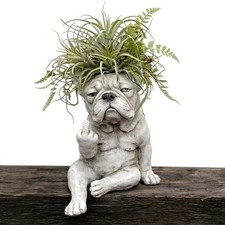 Funny Bulldog Middle Finger Resin Planter Pot Succulent Plant Home
