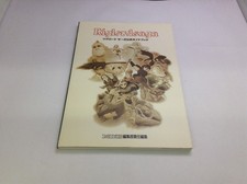 Used A/Regroad Saga Official Guidebook/Game Book/Game Book