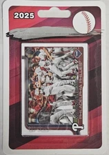 2025 Topps Series 1 & 2 Baseball Team Set "All Teams Your Choice" Blister Packed