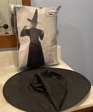 FunCostumes Evil Wicked Witch Deluxe Adult Women's Halloween Costume 2 XL