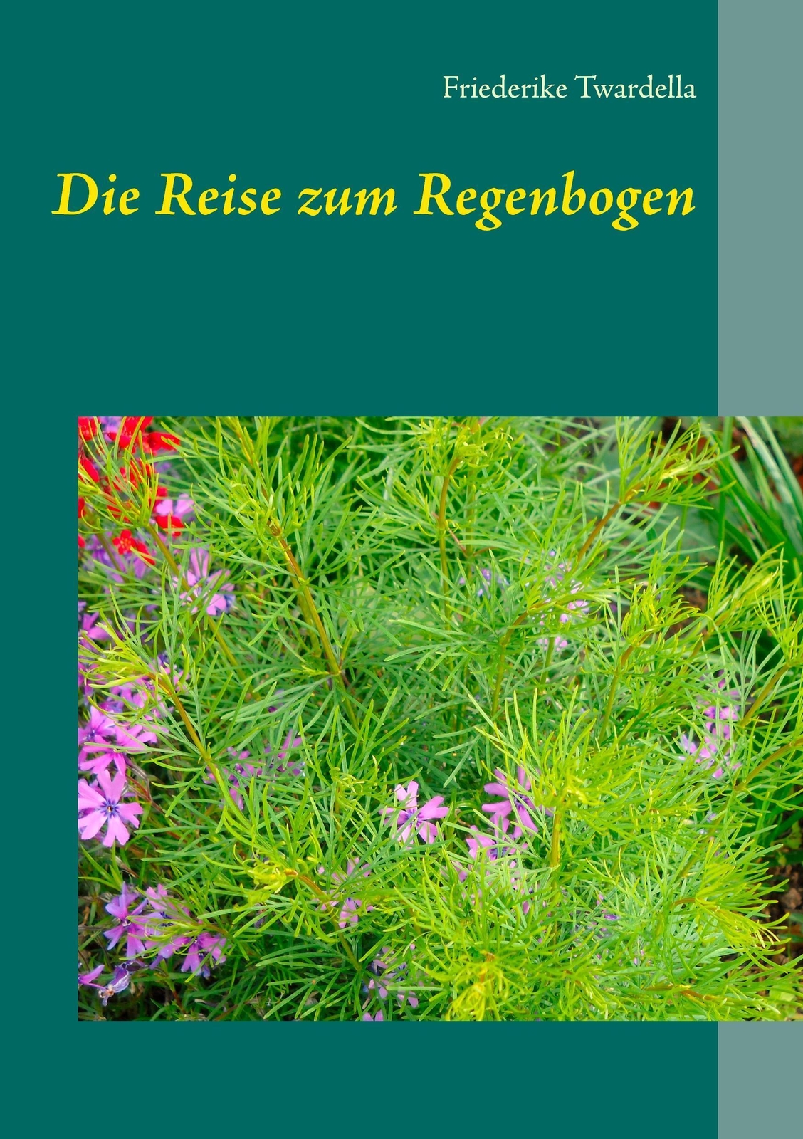 Thumbnail - Friederike Twardella | Die Reise Zum Regenbogen | Taschenbuch |