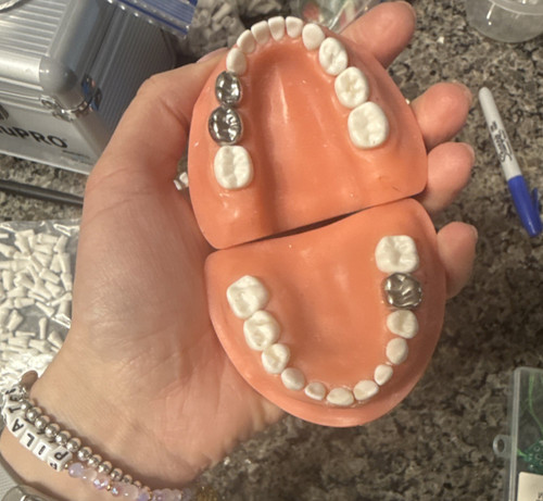 ModuPRO PEDIATRIC Dental Typodont Model w/ Teeth for Dentistry & Lab