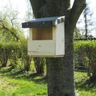 Bild 3 von 4