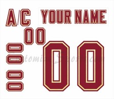 NCAA Denver Pioneers Customized Number Kit For 2000-2004 Home Hockey Uniform