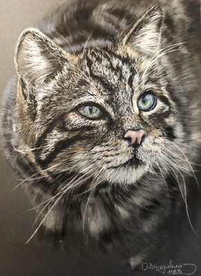 12 Zoll x 16 Zoll 30x40 Kommission Pastell Haustier Hund Katze Pferd Menschen Porträts aus Foto