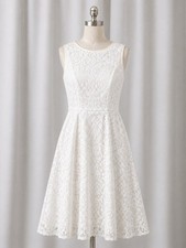 Adrianna Papell Elegant Off White Floral Lace Pockets Fit & Flare Occasion Dress