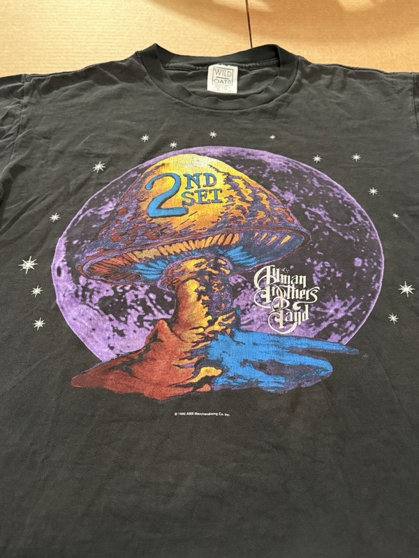 Vintage 1995 Allman Brothers Band 2nd Set Tour N. American T-shirt/M SZ XL/VG+++