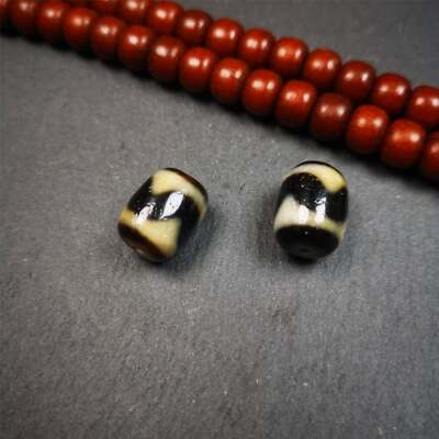 Gandhanra Tibetan Tiger Tooth Dzi,Marker Beads for Mala,Necklace Accessories