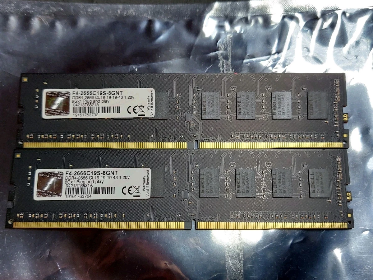 G. SKILL PC4-21300 (DDR4-2666) Bus Speed DIMM Computer Memory (RAM