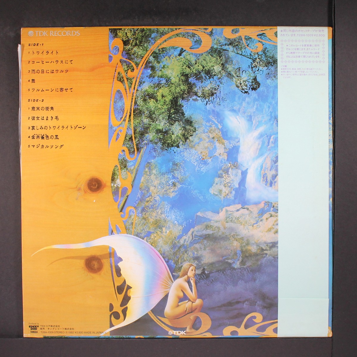 far - at night we live 青黒マーブルレコード far - at night we live 青黒マーブルレコード