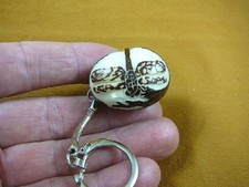 (TNE-DRA-402A) Dragonfly insect TAGUA NUT Figurine KEYCHAIN key pond bug