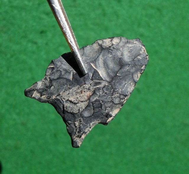 11/4" PALEO HILO PENNSYLVANIA ARROWHEAD Authentic Indian Artifact