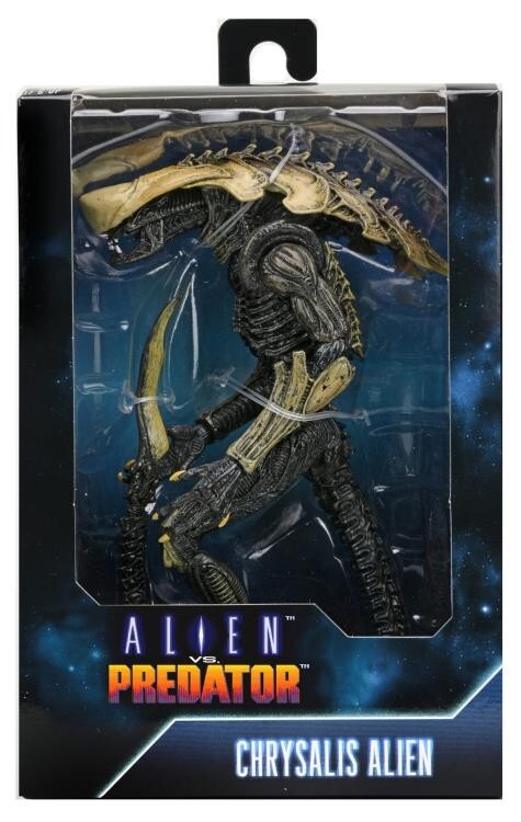neca エイリアン　avp Amazon.com: NECA Aliens Series 7 AvP Warrior Action Figure