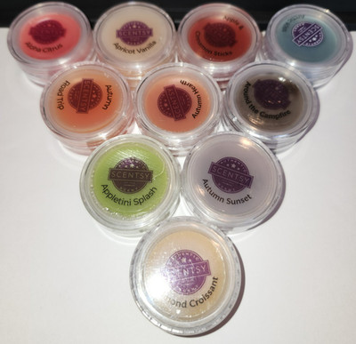 Scentsy Wax Melt Warmer Minis 1  Diameter Samples Mixed Lot 10 No Duplicates #74